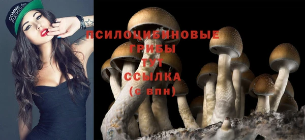 каннабис Армянск