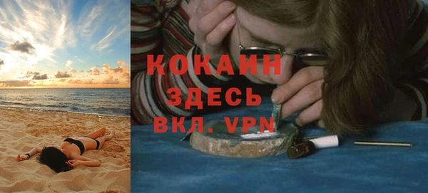 твердый Арсеньев