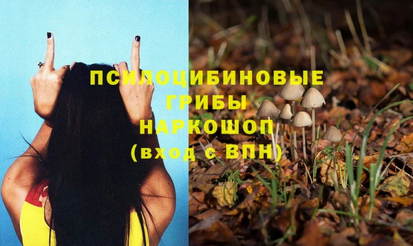 твердый Арсеньев