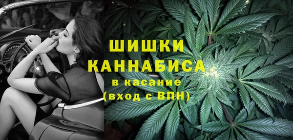 Альфа ПВП Аркадак