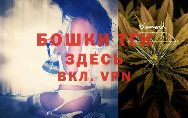 Альфа ПВП Аркадак