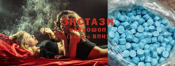 твердый Арсеньев
