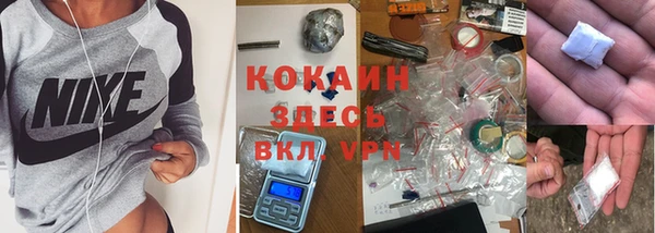 твердый Арсеньев