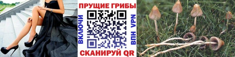 Галлюциногенные грибы мухоморы  kraken сайт  Усолье-Сибирское  закладка 